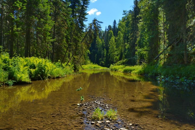 Ларинский заказник